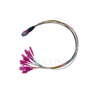 12 Core Fibra ottica Cable Om4 Mtp/Pc Maschio - Lc/Upc Fanout 0,9mm 40cm