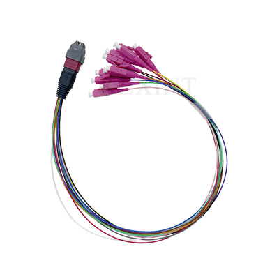 12 Core Fibra ottica Cable Om4 Mtp/Pc Maschio - Lc/Upc Fanout 0,9mm 40cm